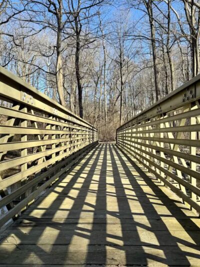 Paint Branch Stream Trail Serpentine Way - Silver Spring, MD
