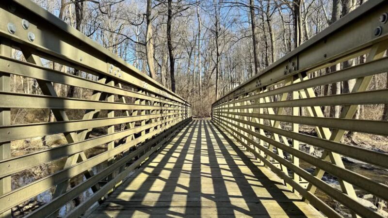 Paint Branch Stream Trail Serpentine Way - Silver Spring, MD