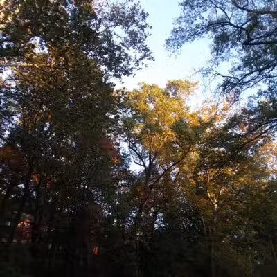 Sligo Cabin Neighborhood Park - Silver Spring, MD