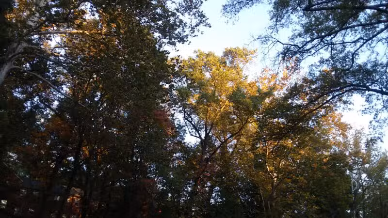 Sligo Cabin Neighborhood Park - Silver Spring, MD