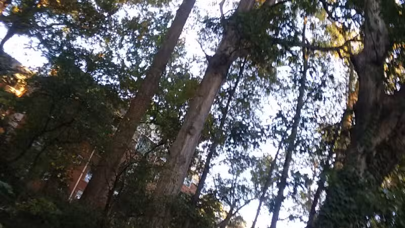 Sligo Cabin Neighborhood Park - Silver Spring, MD