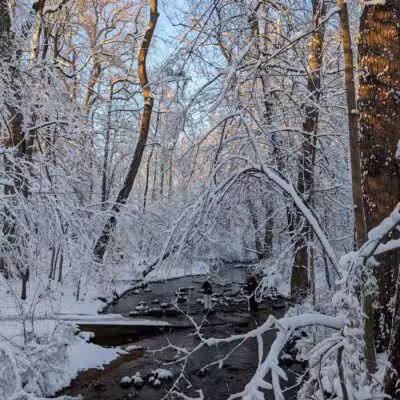 Sligo Creek Stream Valley Park - Silver Spring, MD