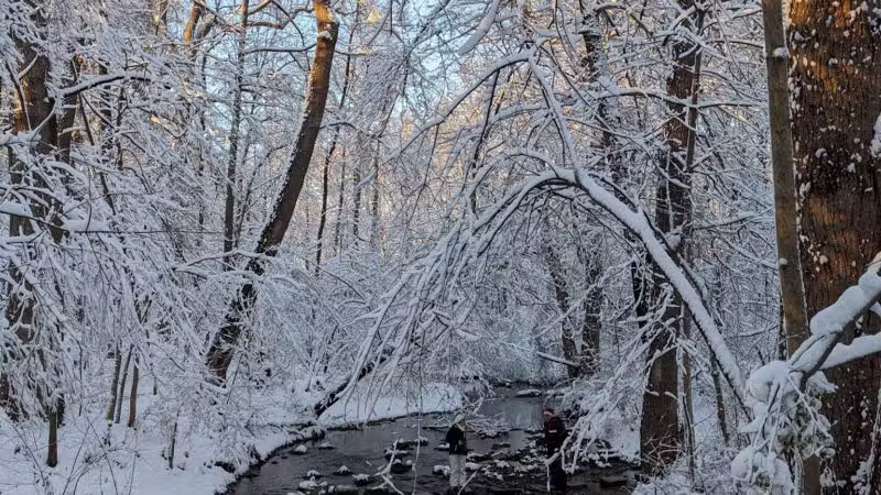 Sligo Creek Stream Valley Park - Silver Spring, MD