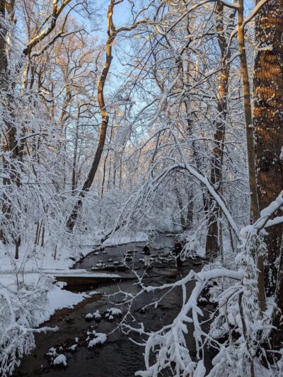 Sligo Creek Stream Valley Park - Silver Spring, MD