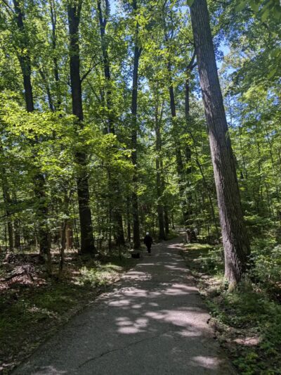 Sligo Creek Stream Valley Park - Silver Spring, MD