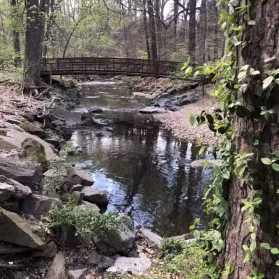 Sligo Creek Stream Valley Park - Silver Spring, MD