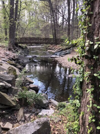 Sligo Creek Stream Valley Park - Silver Spring, MD