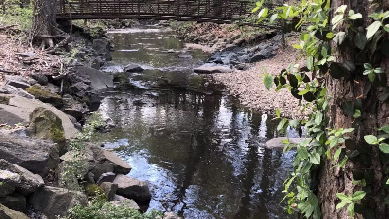 Sligo Creek Stream Valley Park - Silver Spring, MD