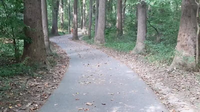 Sligo Creek Stream Valley Park - Silver Spring, MD
