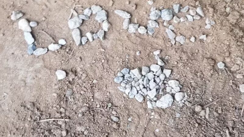 Upper Long Branch Neighborhood Park - Silver Spring, MD