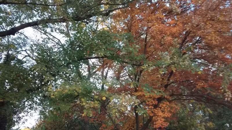 Upper Long Branch Neighborhood Park - Silver Spring, MD