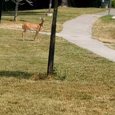 West Fairland Local Park - Silver Spring, MD