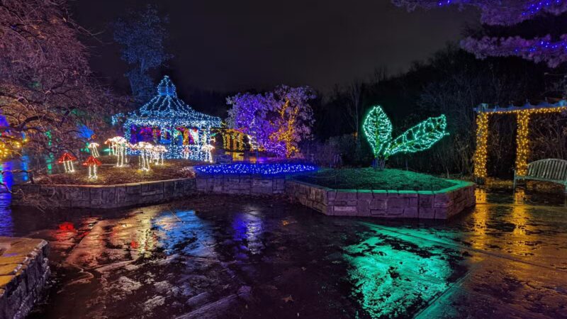 Wheaton Regional Park - Silver Spring, MD