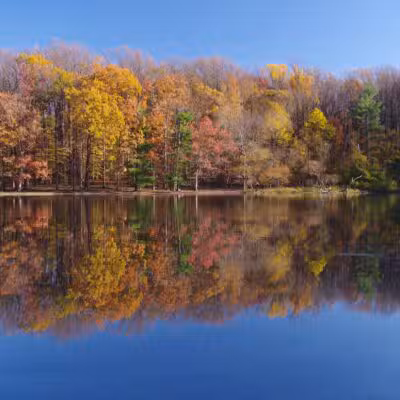 Wheaton Regional Park - Silver Spring, MD
