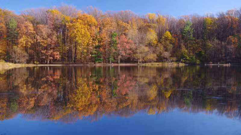 Wheaton Regional Park - Silver Spring, MD