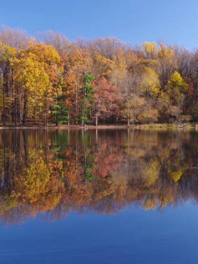 Wheaton Regional Park - Silver Spring, MD