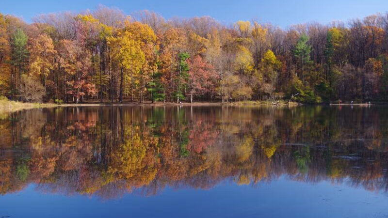 Wheaton Regional Park - Silver Spring, MD