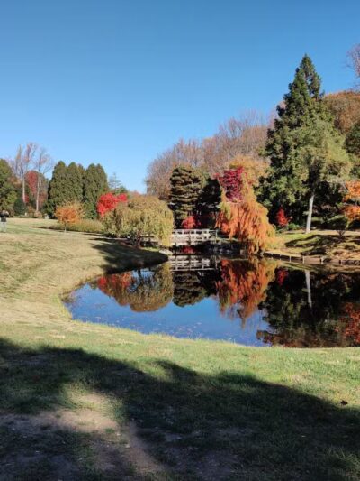 Wheaton Regional Park - Silver Spring, MD