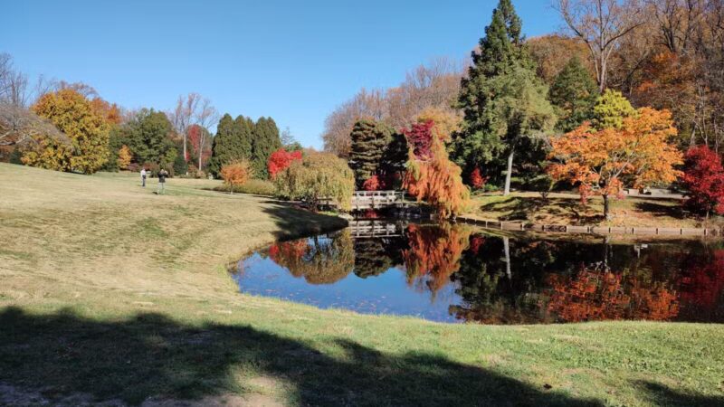 Wheaton Regional Park - Silver Spring, MD