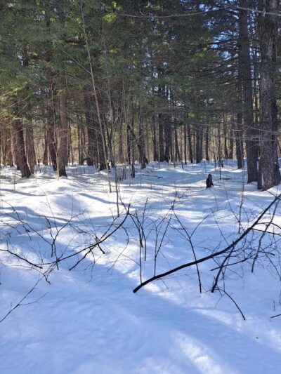 Coburn Woods Trails - Skowhegan, ME