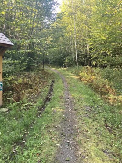Coburn Woods Trails - Skowhegan, ME