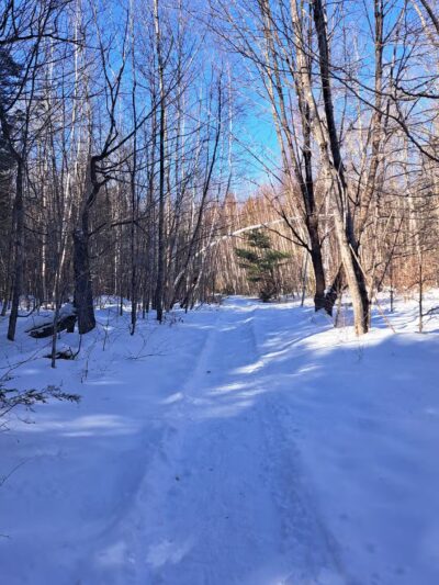 Coburn Woods Trails - Skowhegan, ME