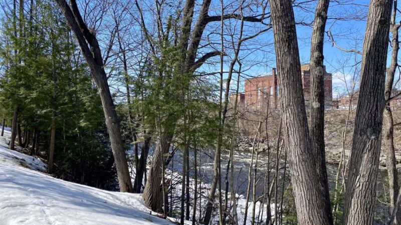 Debe Park Trails - Skowhegan, ME