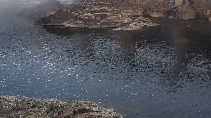 Debe Park Trails - Skowhegan, ME