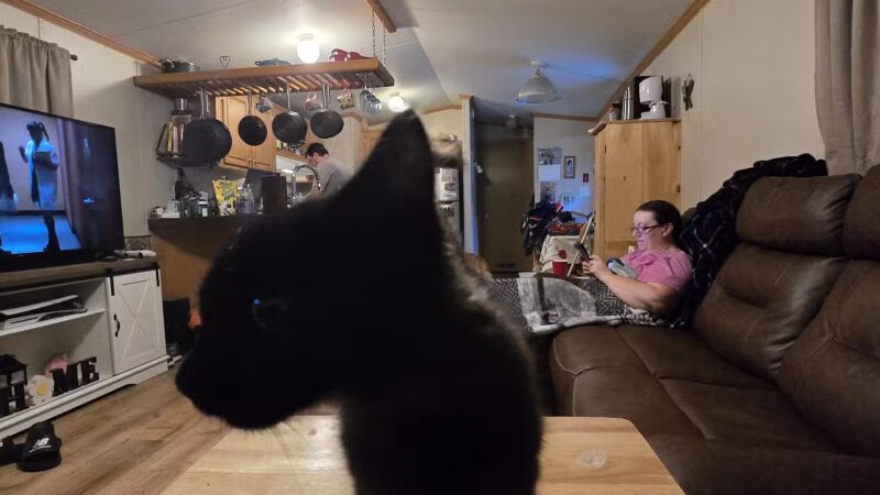 Somerset Animal Shelter - Skowhegan, ME