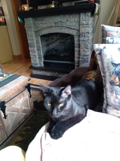 Somerset Animal Shelter - Skowhegan, ME