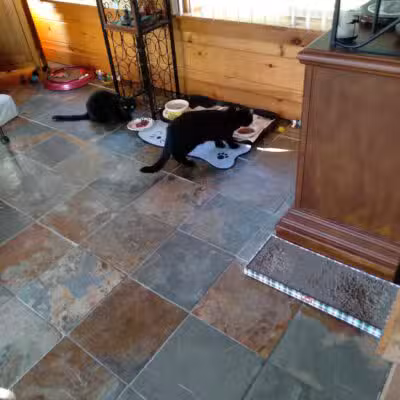 Somerset Animal Shelter - Skowhegan, ME