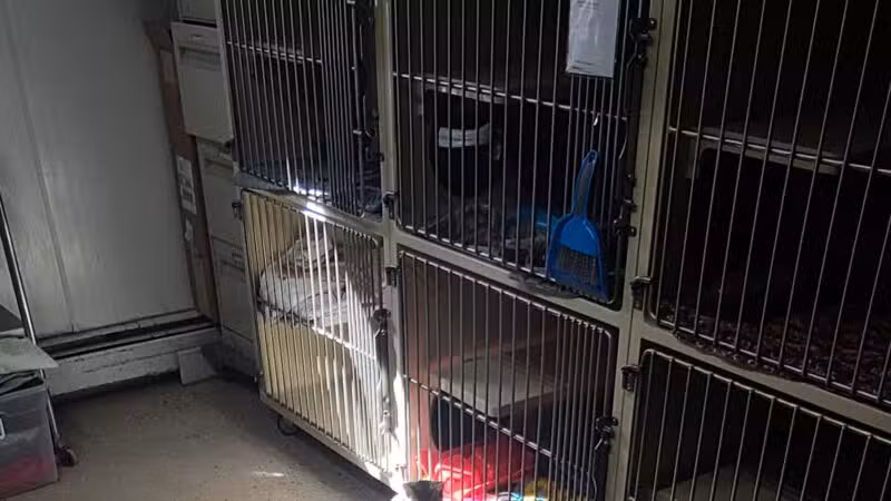 Somerset Animal Shelter - Skowhegan, ME