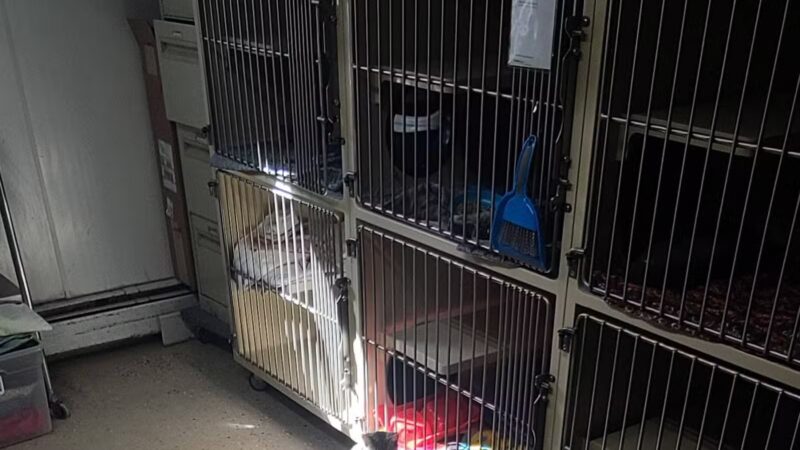 Somerset Animal Shelter - Skowhegan, ME