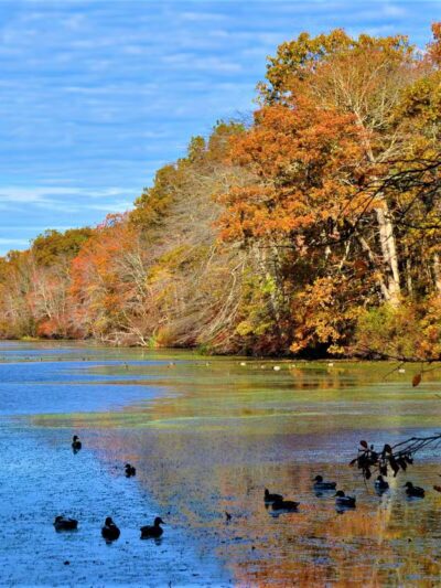 Blydenburgh Boat Launch and Parking - Smithtown, NY