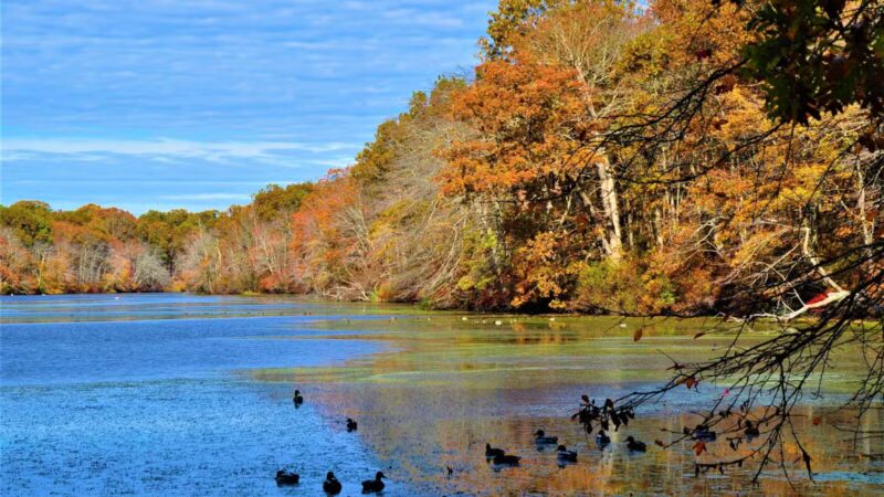 Blydenburgh Boat Launch and Parking - Smithtown, NY
