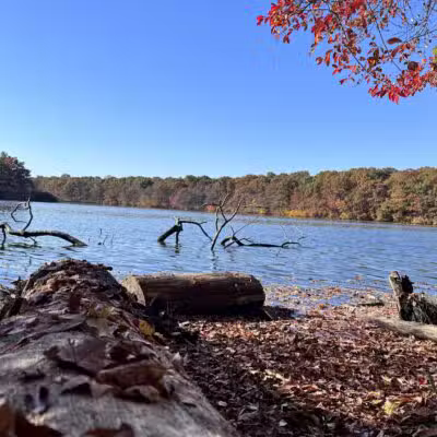 Blydenburgh Park - Smithtown, NY