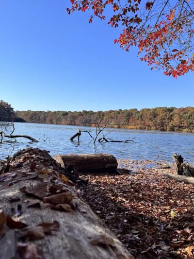 Blydenburgh Park - Smithtown, NY