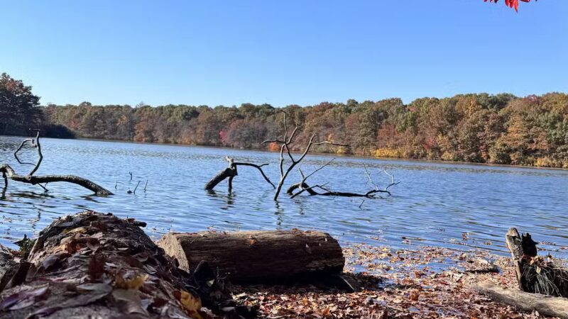 Blydenburgh Park - Smithtown, NY