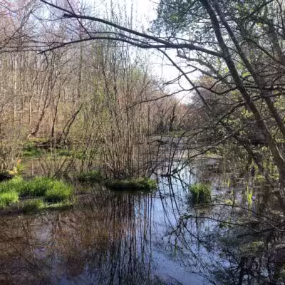 Blydenburgh Park - Smithtown, NY