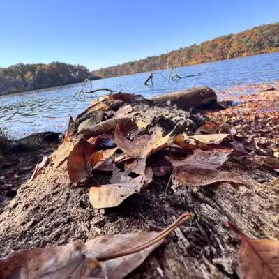 Blydenburgh Park - Smithtown, NY