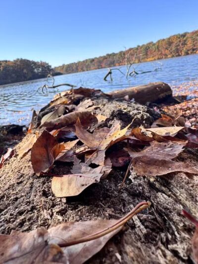 Blydenburgh Park - Smithtown, NY