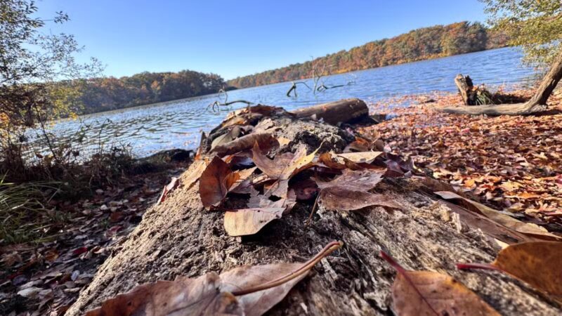 Blydenburgh Park - Smithtown, NY