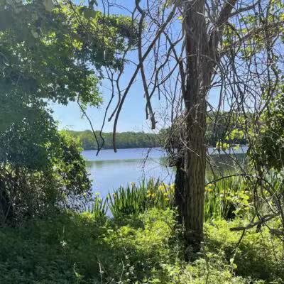 Blydenburgh Park - Smithtown, NY