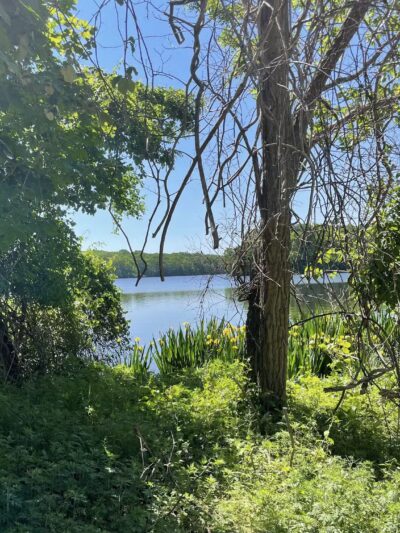 Blydenburgh Park - Smithtown, NY