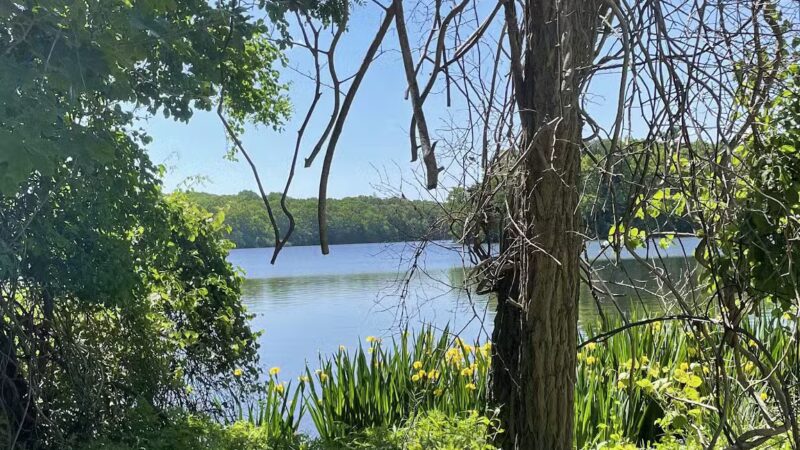 Blydenburgh Park - Smithtown, NY