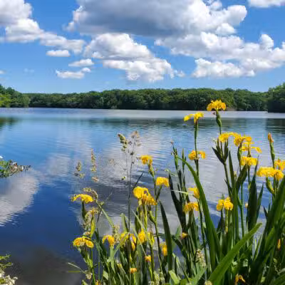 Blydenburgh Park - Smithtown, NY