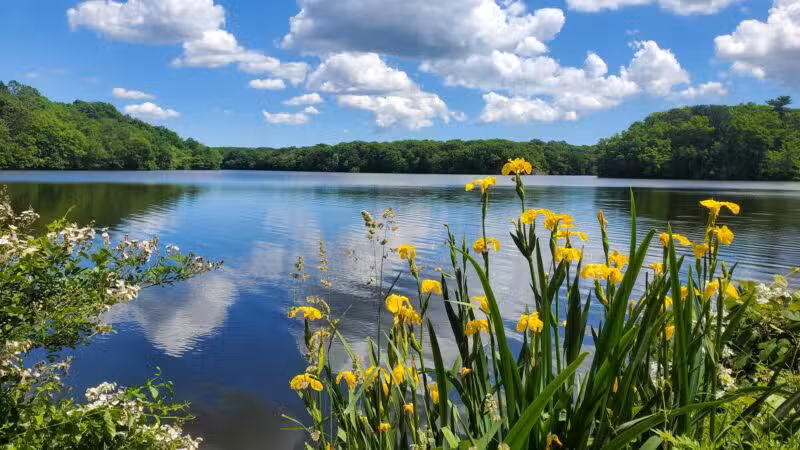 Blydenburgh Park - Smithtown, NY