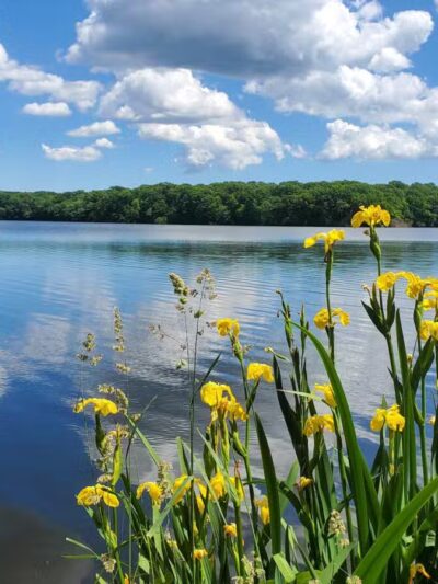 Blydenburgh Park - Smithtown, NY