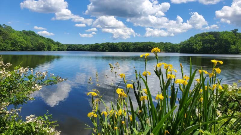 Blydenburgh Park - Smithtown, NY