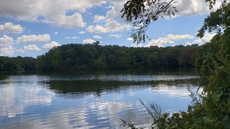 Blydenburgh Park - Smithtown, NY